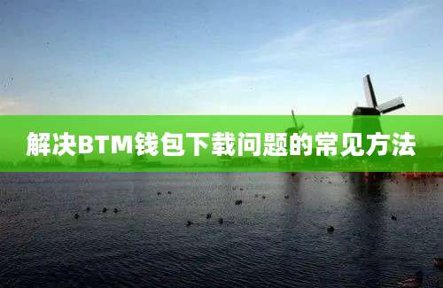 解决BTM钱包下载问题的常见方法