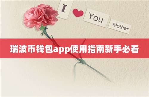 瑞波币钱包app使用指南新手必看