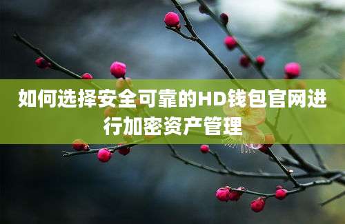 如何选择安全可靠的HD钱包官网进行加密资产管理