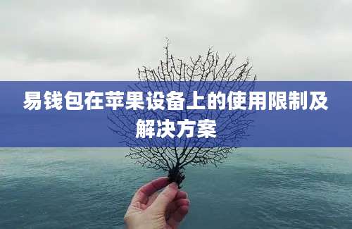 易钱包在苹果设备上的使用限制及解决方案