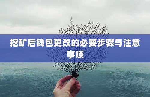 挖矿后钱包更改的必要步骤与注意事项