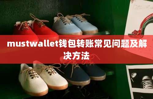 mustwallet钱包转账常见问题及解决方法