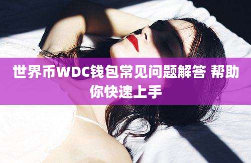 世界币WDC钱包常见问题解答 帮助你快速上手