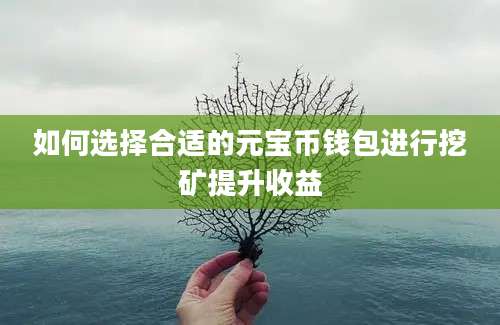 如何选择合适的元宝币钱包进行挖矿提升收益