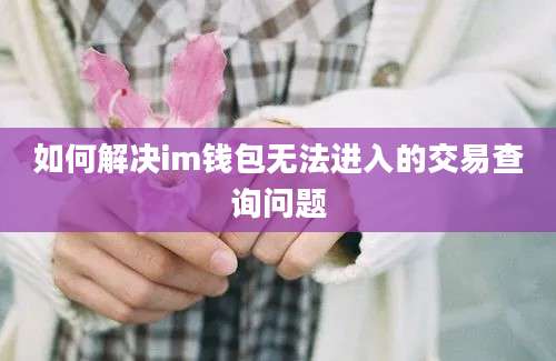 如何解决im钱包无法进入的交易查询问题