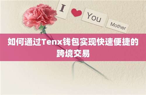 如何通过Tenx钱包实现快速便捷的跨境交易