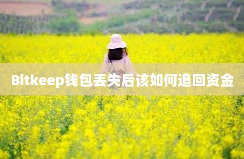 Bitkeep钱包丢失后该如何追回资金