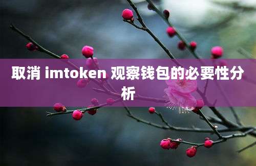 取消 imtoken 观察钱包的必要性分析