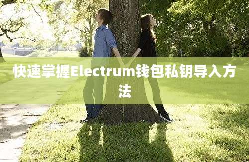 快速掌握Electrum钱包私钥导入方法