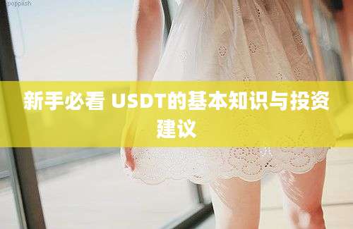 新手必看 USDT的基本知识与投资建议